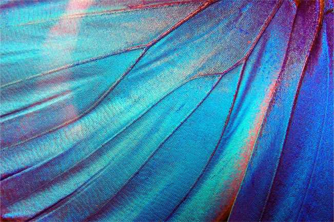 Vinilos para muebles o armarios diseño abstracto